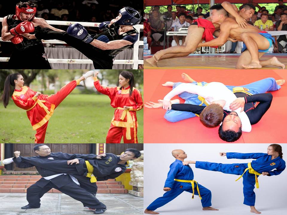 Arts martiaux vietnamiens &agrave; l'origine du MMA enseign&eacute; dans notre club